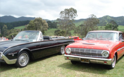 kawhia cruise mswaikato